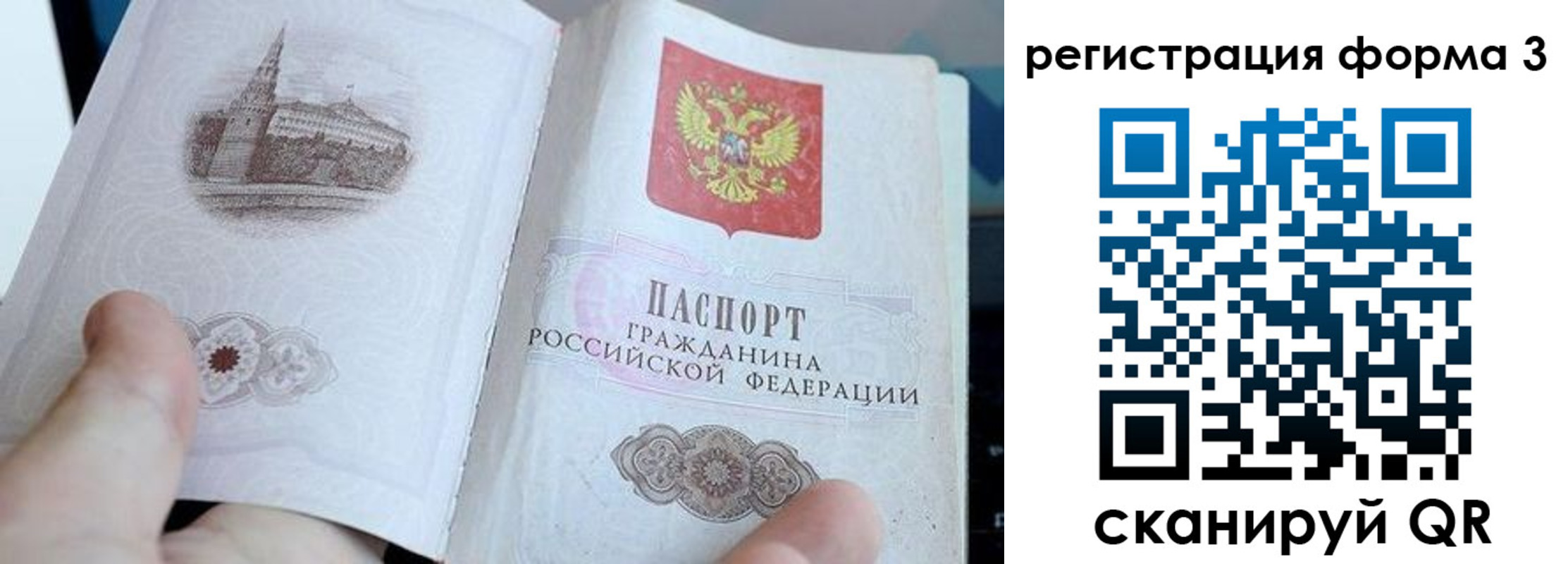 временная регистрация поиск в Светлом
